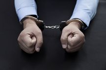 刑事犯罪会上征信吗