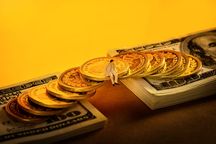 离婚案件被告能否申请财产保全