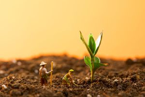农业种植公司需要交哪些税