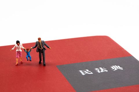 监护权属于民法的范畴吗-靠谱派