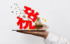 增值税税率和征收率有什么区别以及增值税的类型有哪些