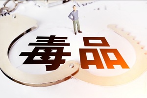参与制毒的主犯与从犯如何量刑