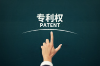 深圳专利申请的类型