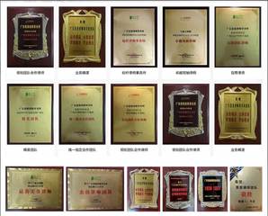 广州王丽玉律师：近15年婚姻家事诉讼经验